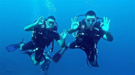 gay scuba diving trips